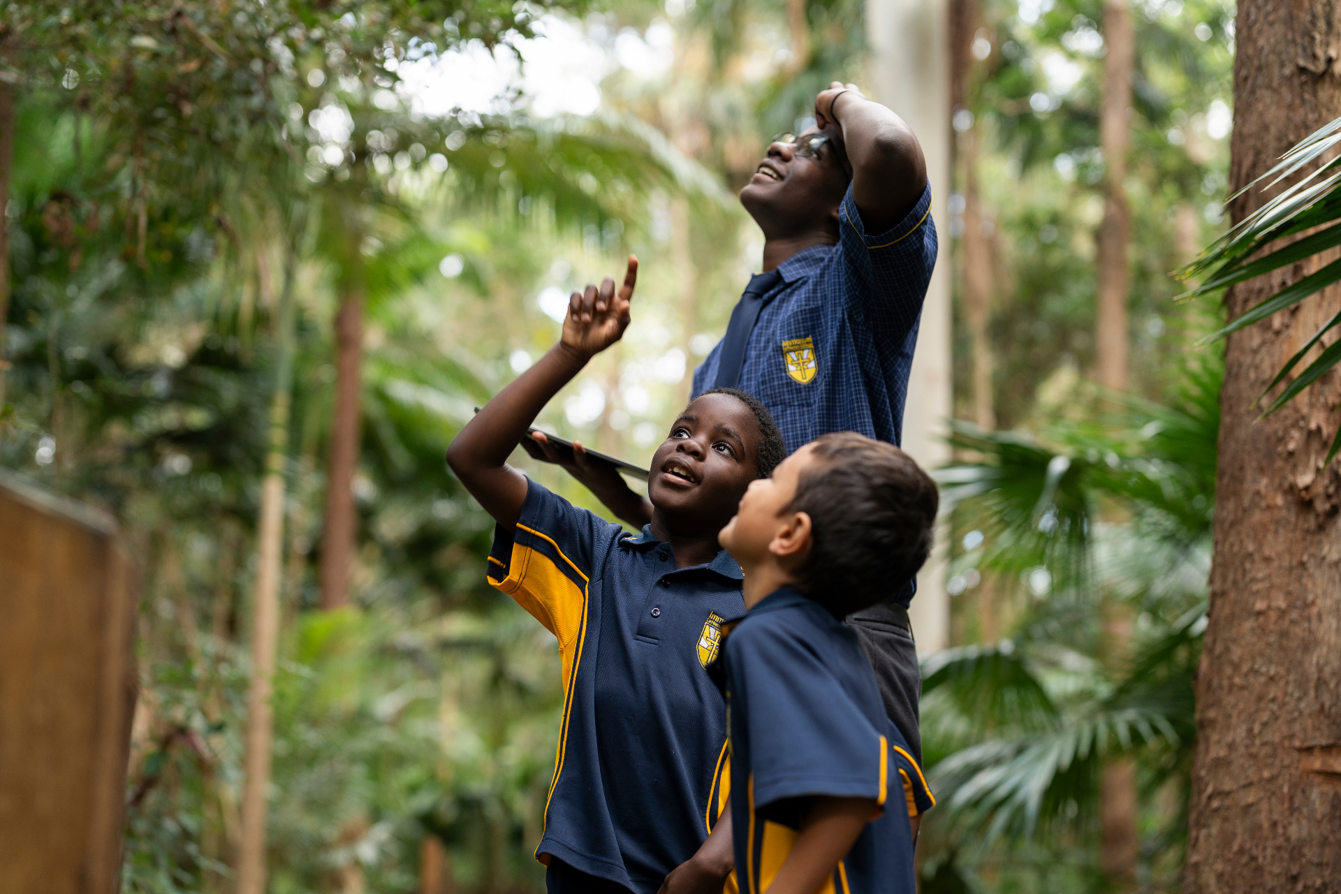 Immanuel Lutheran College students looking up into the rainforest canopy during an outdoor lesson